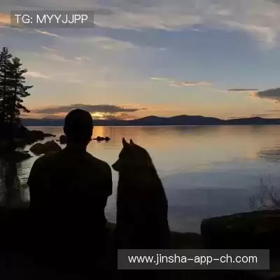卓起炼